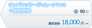 全身デトックス痩身コース価格表 全身デトックス痩身コース価格表